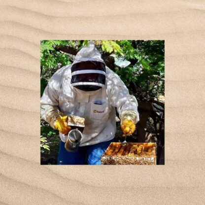 Bee experience Ecoliving