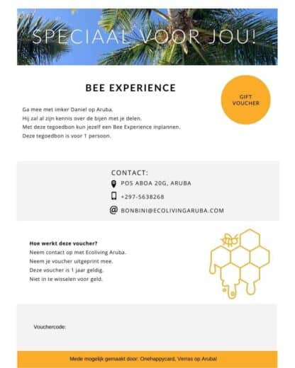 Ecoliving Bee Experience