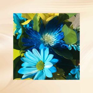 Bloemen op Aruba