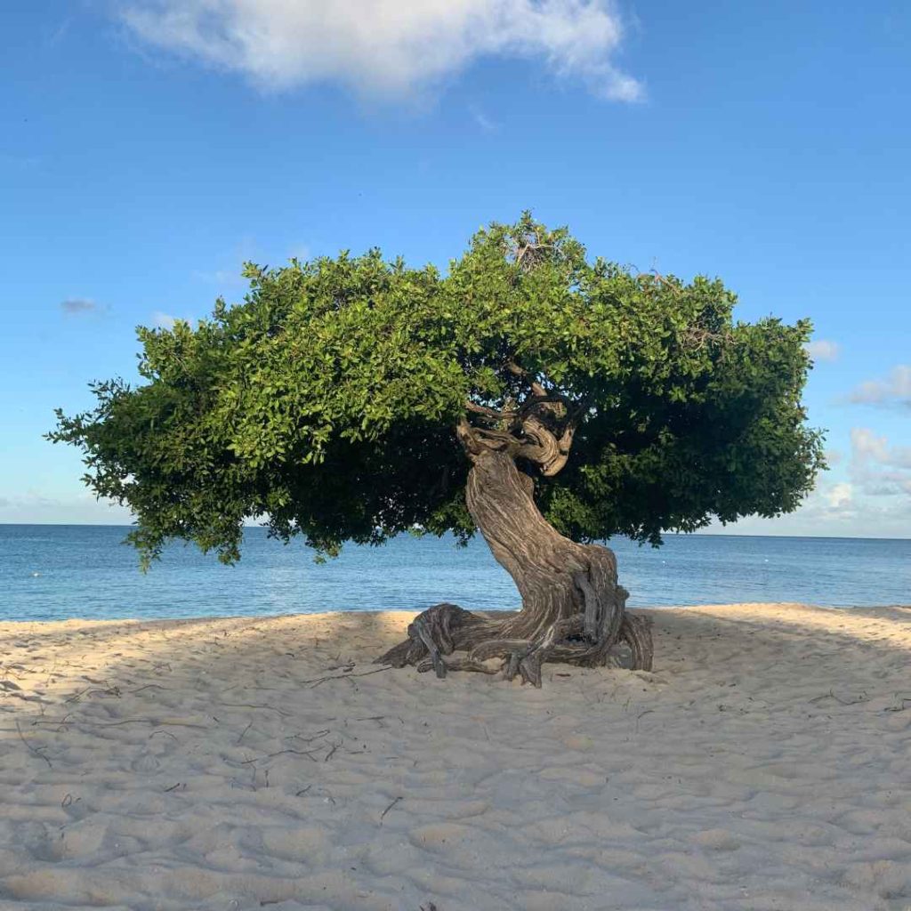 Speciale gelegenheden op Aruba