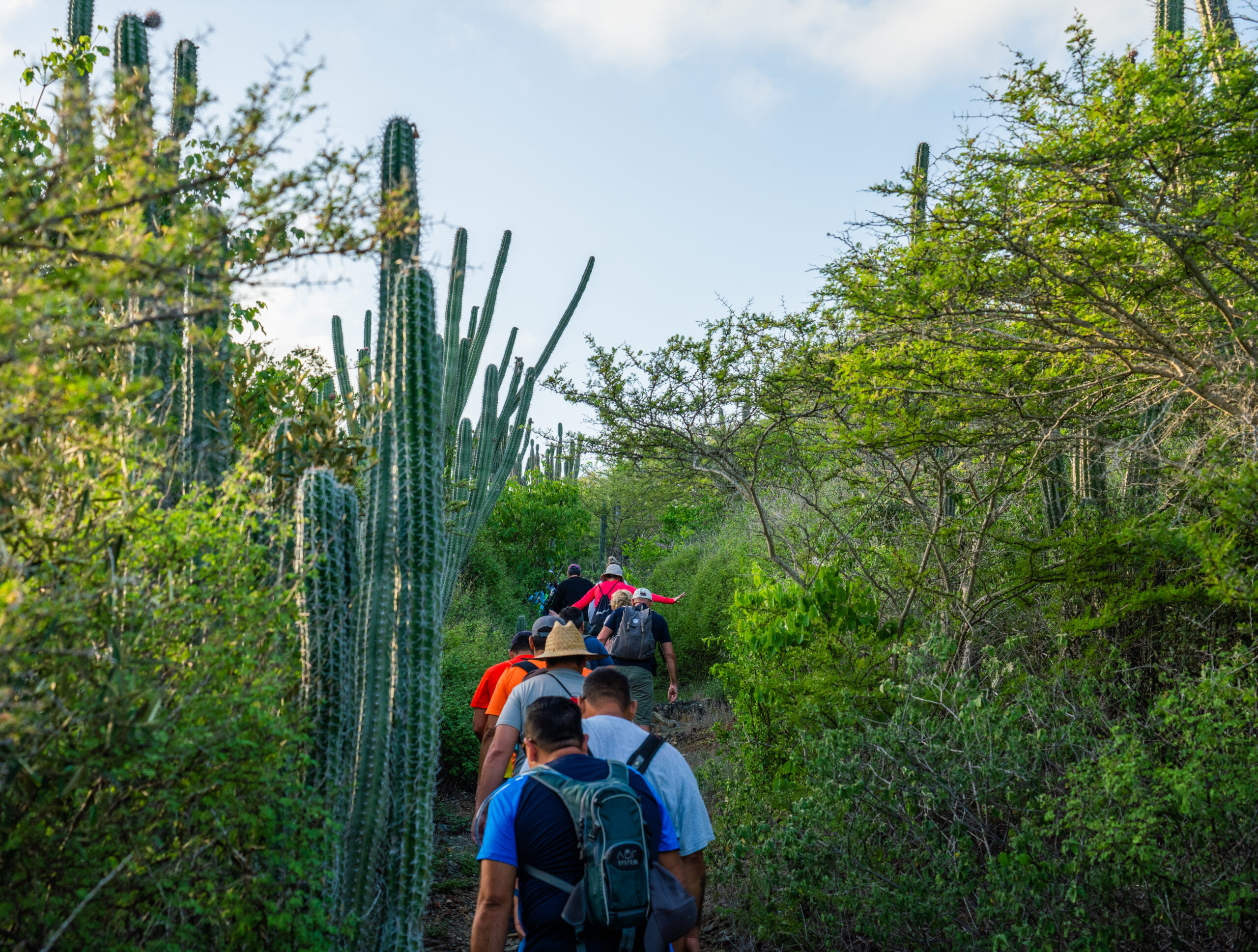 wandelen aruba