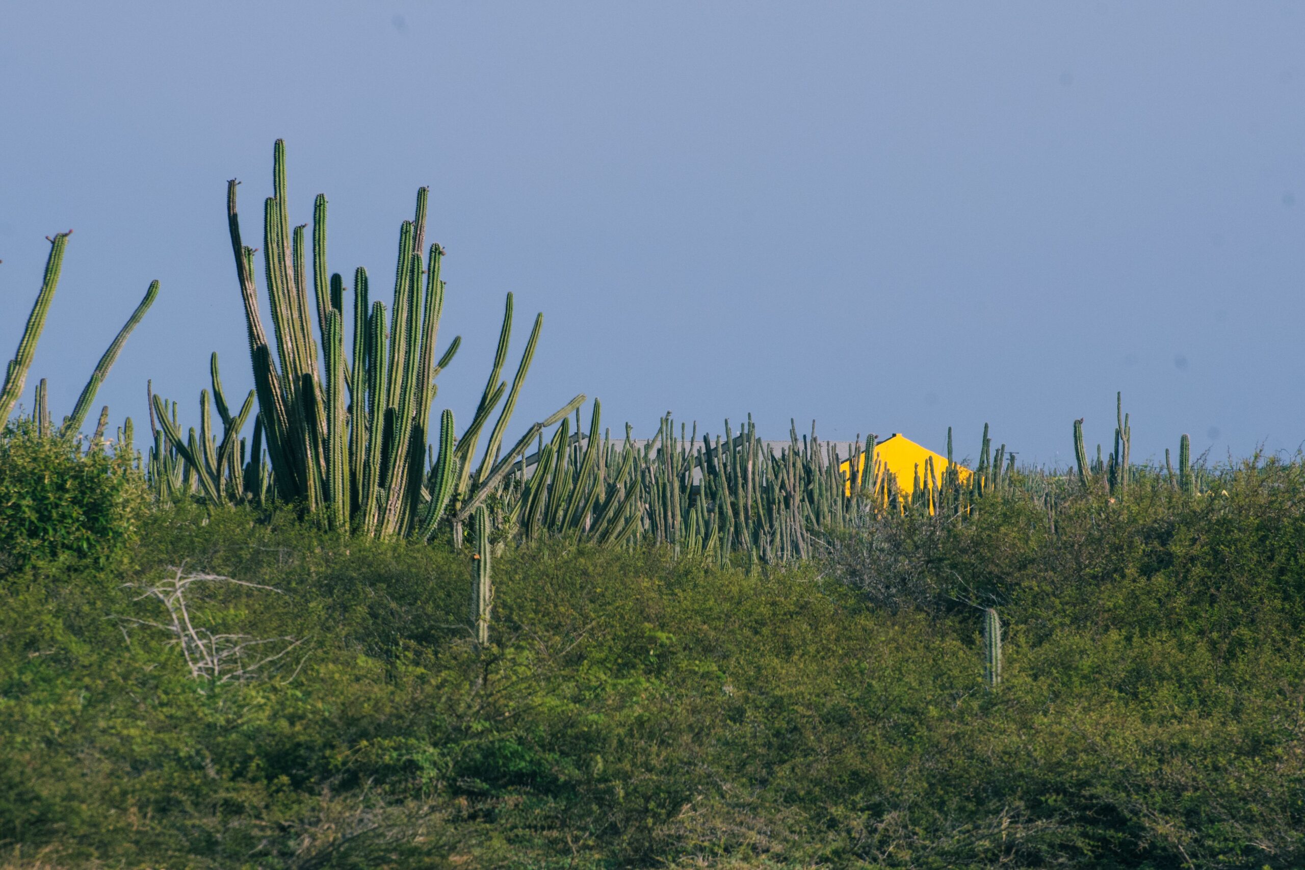 Arikok National Park